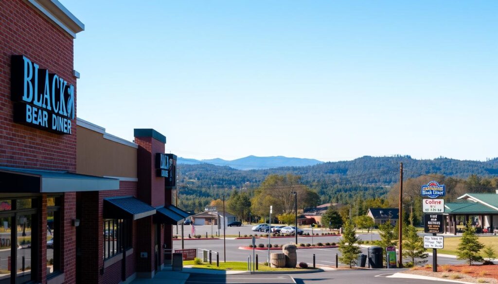 A vibrant, panoramic image showcasing the diverse locations and operating hours of the Black Bear Diner restaurant chain. In the foreground, a row of modern, rustic-inspired diner facades in warm hues of brown and red brick, with large windows and inviting entryways. In the middle ground, a scattering of diner parking lots and signage, indicating the varied operating hours and schedules for each establishment. In the distant background, a serene landscape of rolling hills, lush forests, and a clear, blue sky, creating a sense of the diner's widespread presence across different regions and environments. The lighting is soft and natural, highlighting the warm, welcoming ambiance of the diners. The overall composition conveys the expansive network and flexible hours of the Black Bear Diner brand, inviting the viewer to explore and experience the brand's offerings at their convenience. A vibrant, panoramic image showcasing the diverse locations and operating hours of the Black Bear Diner restaurant chain. In the foreground, a row of modern, rustic-inspired diner facades in warm hues of brown and red brick, with large windows and inviting entryways. In the middle ground, a scattering of diner parking lots and signage, indicating the varied operating hours and schedules for each establishment. In the distant background, a serene landscape of rolling hills, lush forests, and a clear, blue sky, creating a sense of the diner's widespread presence across different regions and environments. The lighting is soft and natural, highlighting the warm, welcoming ambiance of the diners. The overall composition conveys the expansive network and flexible hours of the Black Bear Diner brand, inviting the viewer to explore and experience the brand's offerings at their convenience.